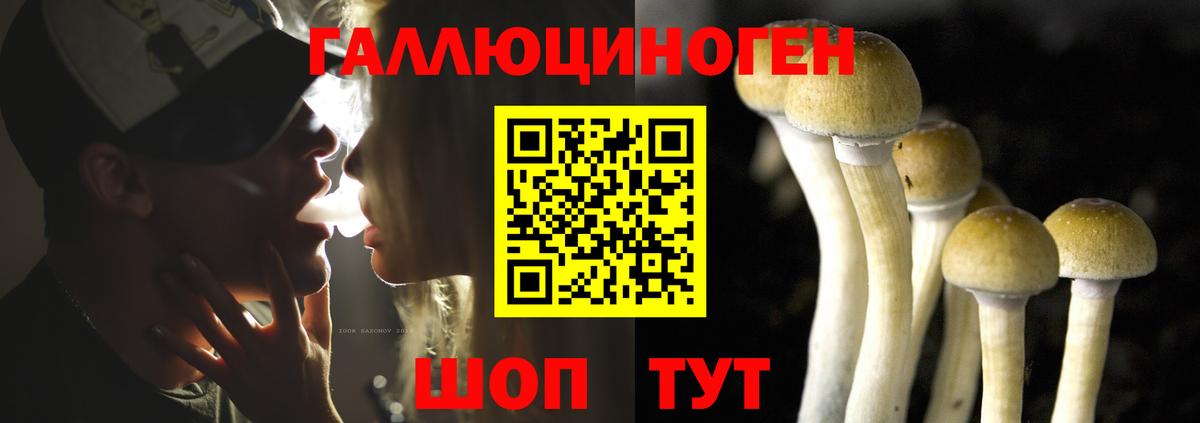 Псилоцибиновые грибы мухоморы  Вход с VPN  Бирск 